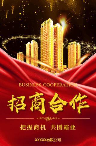 震撼高端黑金招商手册/招商合作邀请函