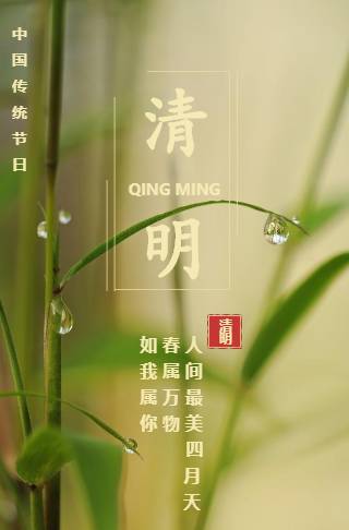 简约清新清明节问候海报邀请函