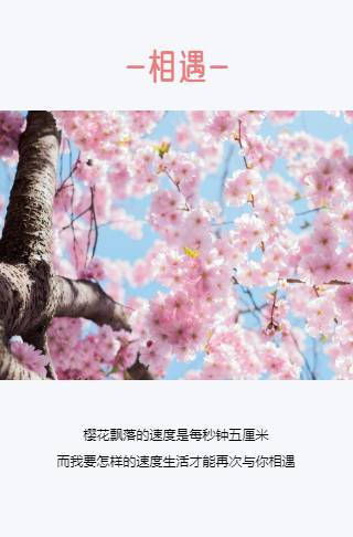 相遇-相识邀请函